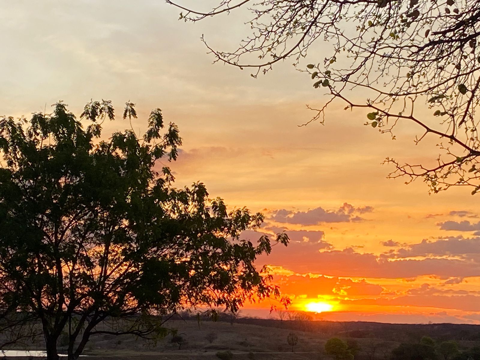 Ceará teve 16 picos de temperatura igual ou acima de 40ºC em outubro de 2023