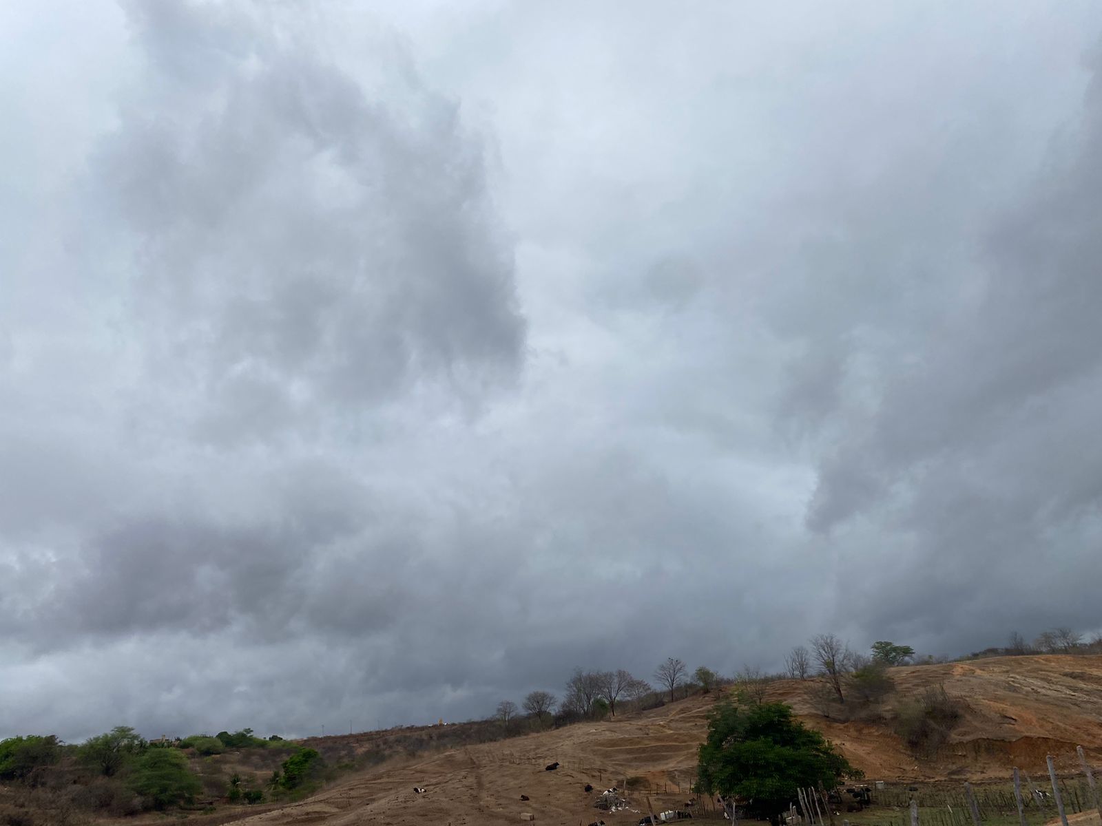 Ceará deve apresentar condições de chuva em determinadas regiões até quarta (8); veja previsão completa