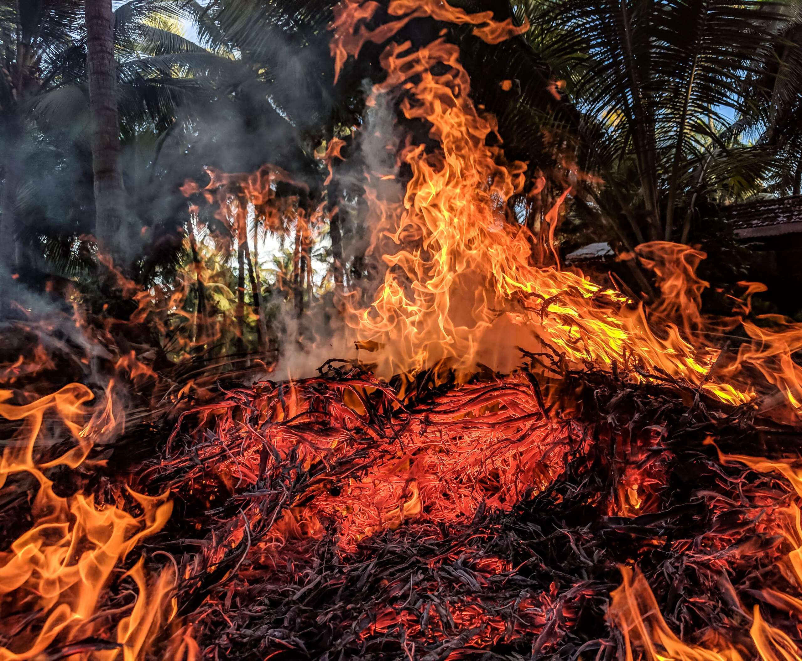 Ceará tem 3º outubro com maior número de focos de calor