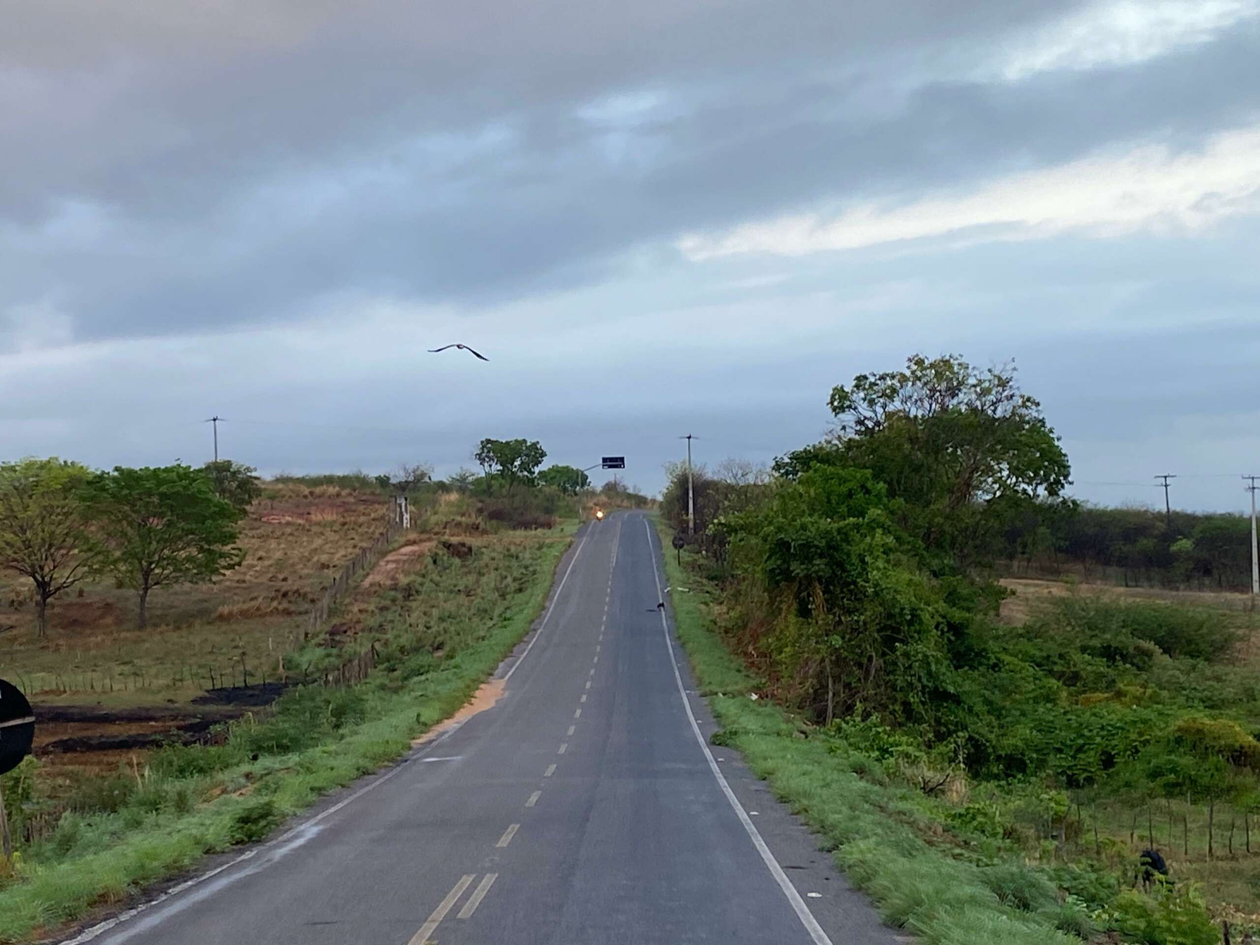 Ceará deve apresentar chuvas pontuais entre terça (9) e quarta-feira (10)
