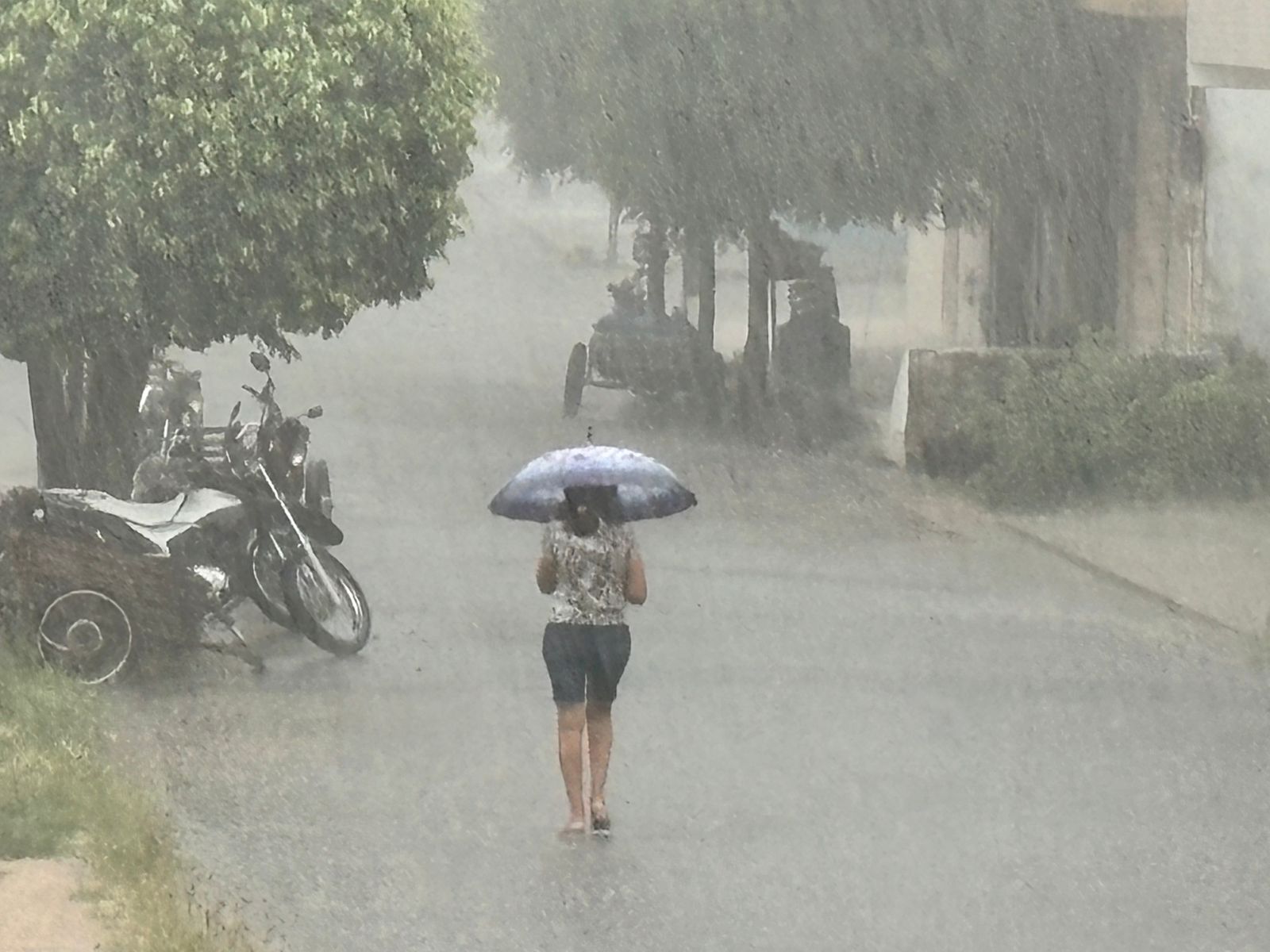 Último fim de semana de março tem condições para chuvas em todas as regiões