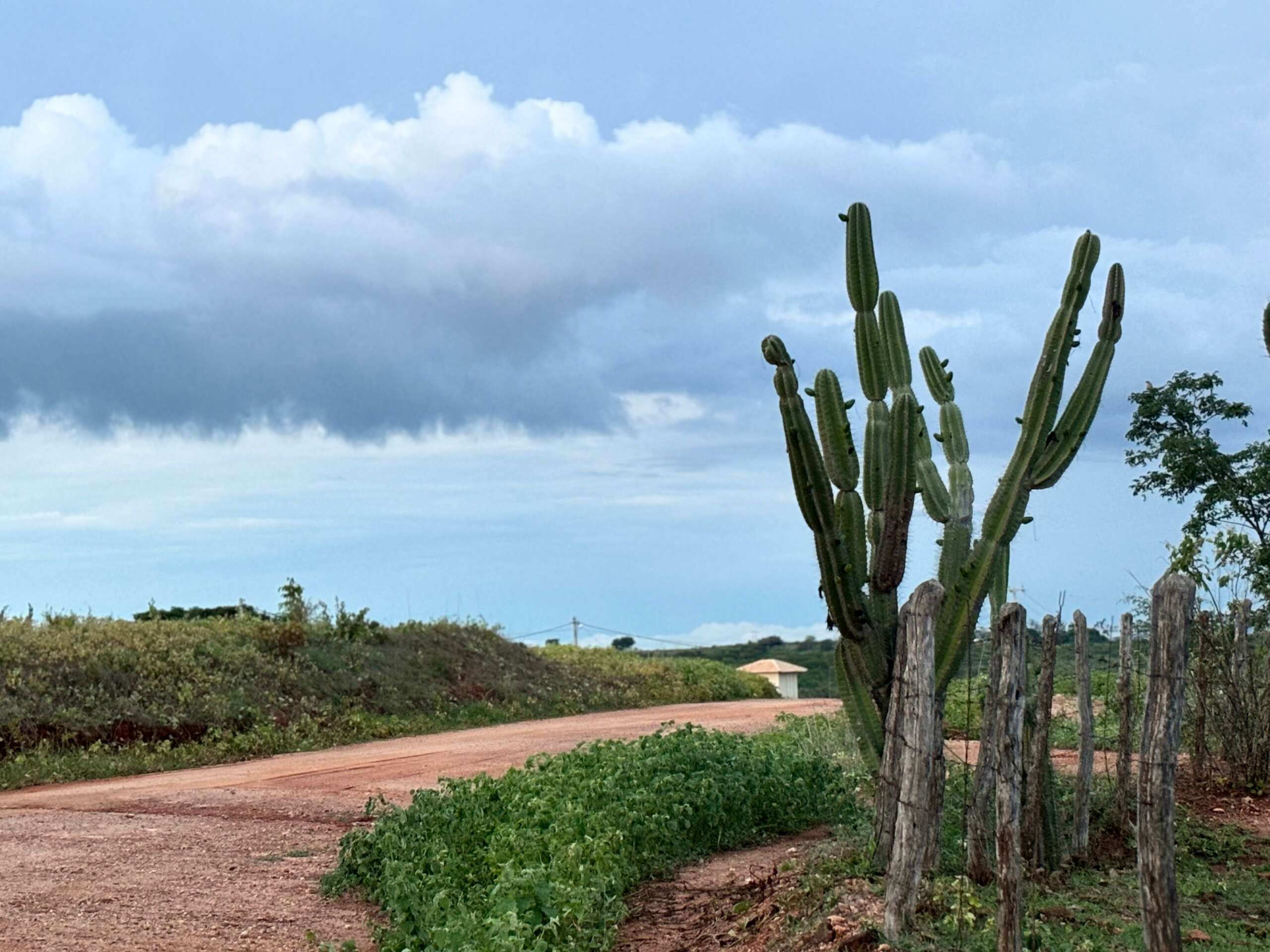 Ceará tem maior probabilidade de chuvas em torno da média no trimestre de abril a junho