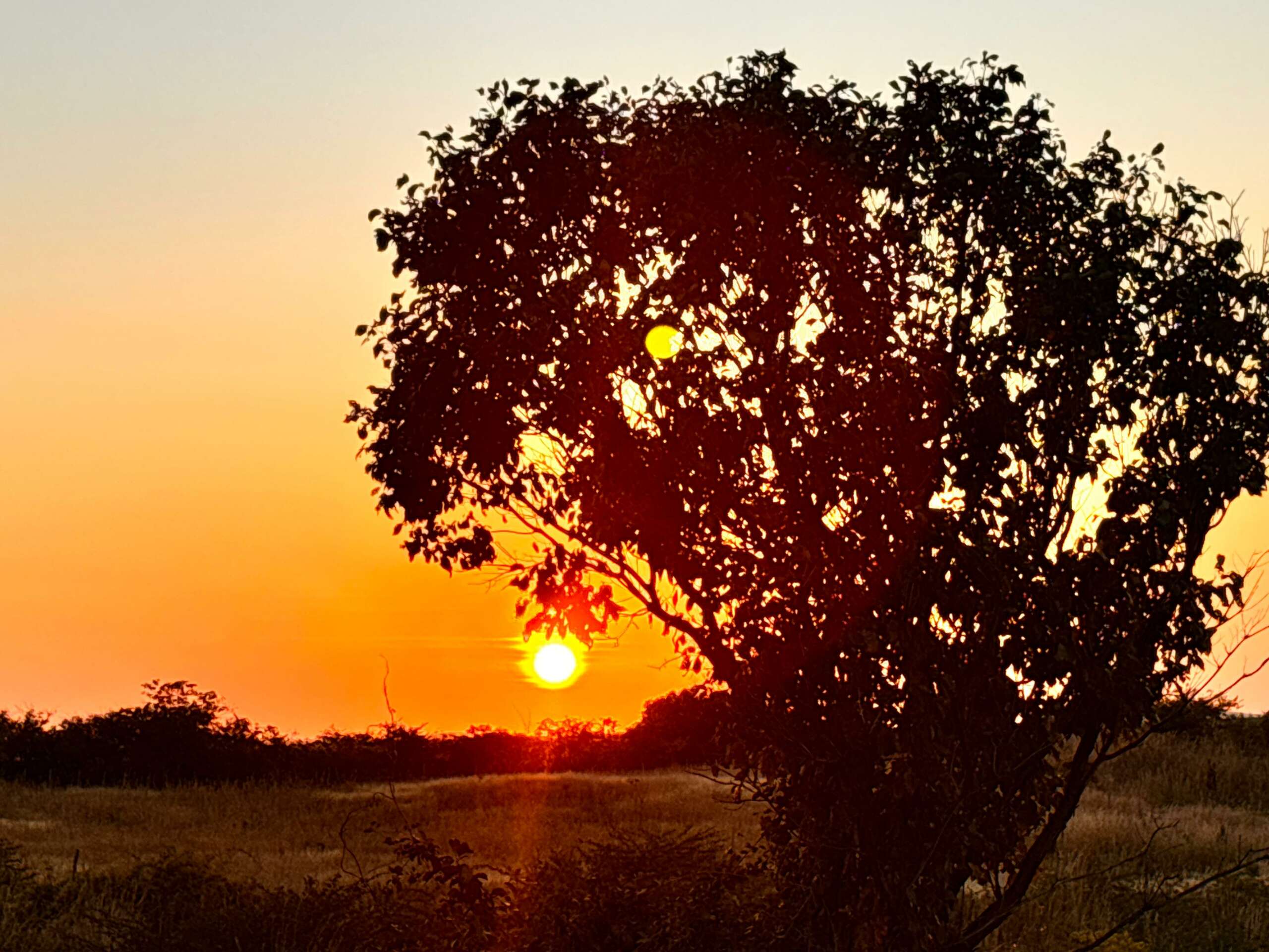 Últimos dias de julho deverão seguir com céu claro, ventos fortes e temperatura mais amena pela manhã