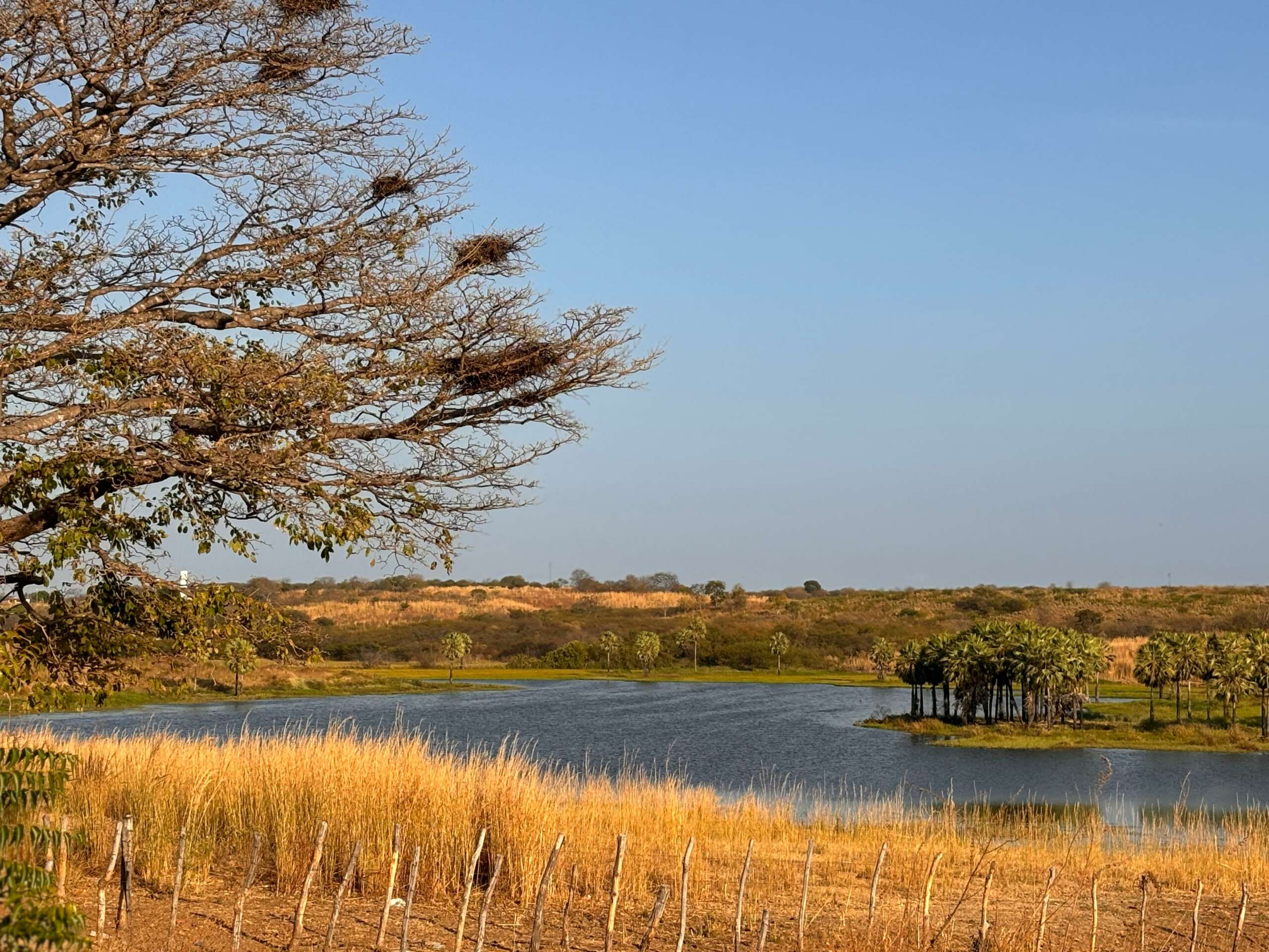 Temperaturas poderão chegar a 37ºC esta semana; veja mais detalhes