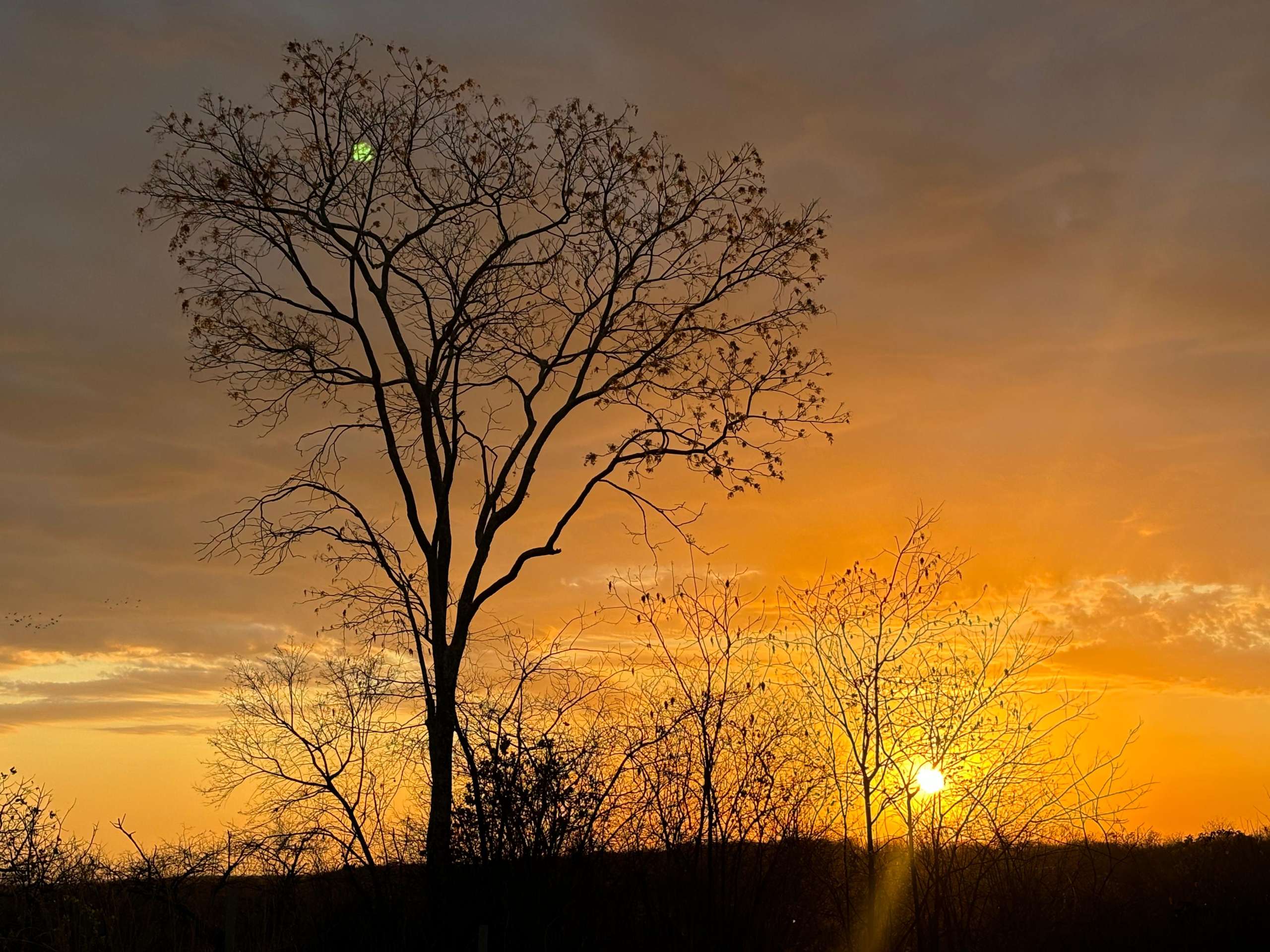 Ceará segue com predomínio de céu claro e altas temperaturas até esta sexta (13)