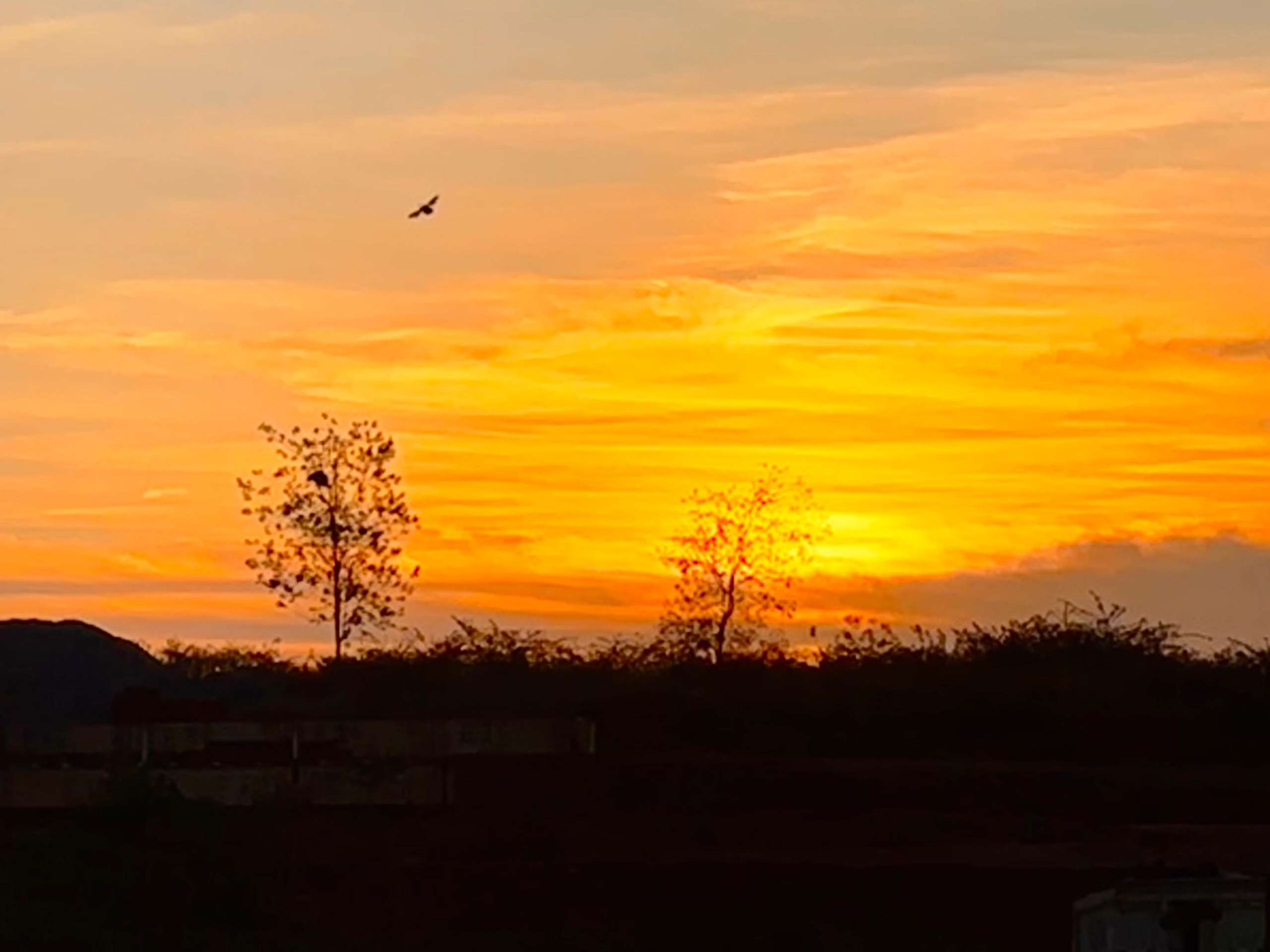 Ceará deve seguir com predomínio de altas temperaturas até sábado (28), pelo menos