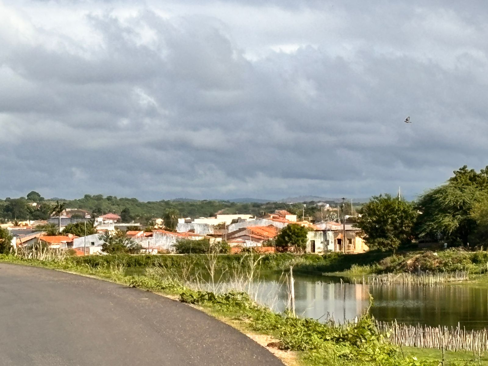 Previsão: terça de céu mais claro; quarta e quinta-feira com precipitações mais generalizadas