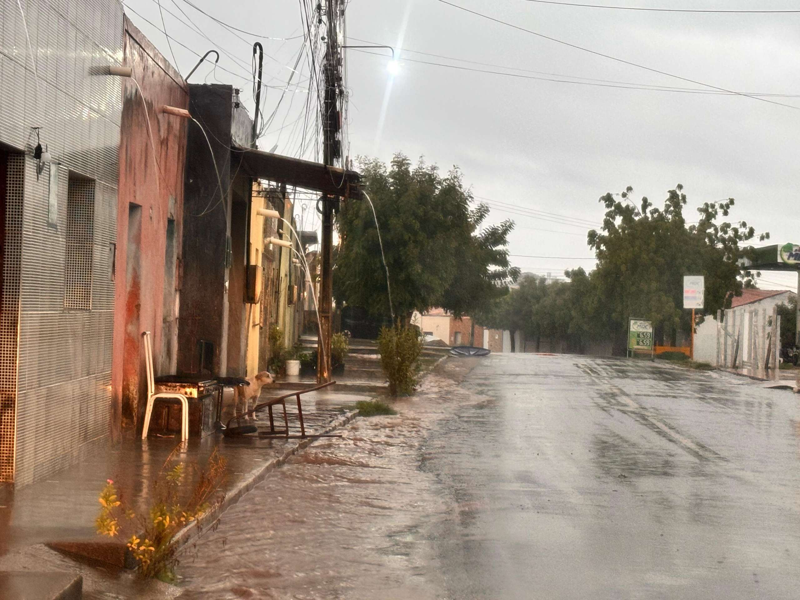 Ceará tem condições para chuvas intensas até esta terça-feira (11); veja mais detalhes