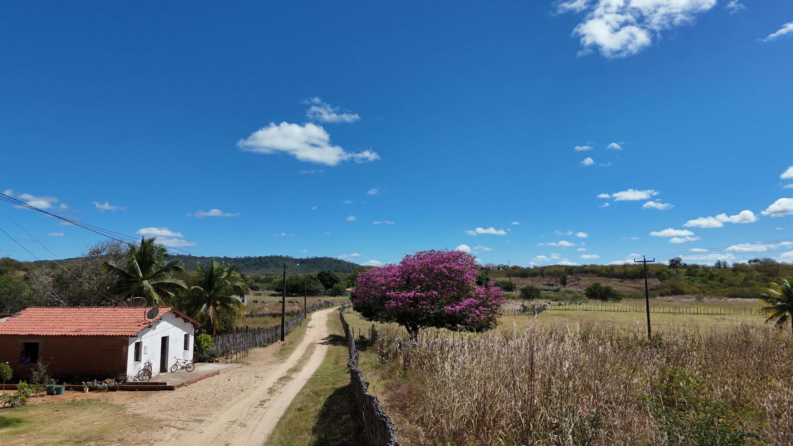 Julho segue com altas temperaturas e céu claro na maior parte do Ceará, aponta Funceme