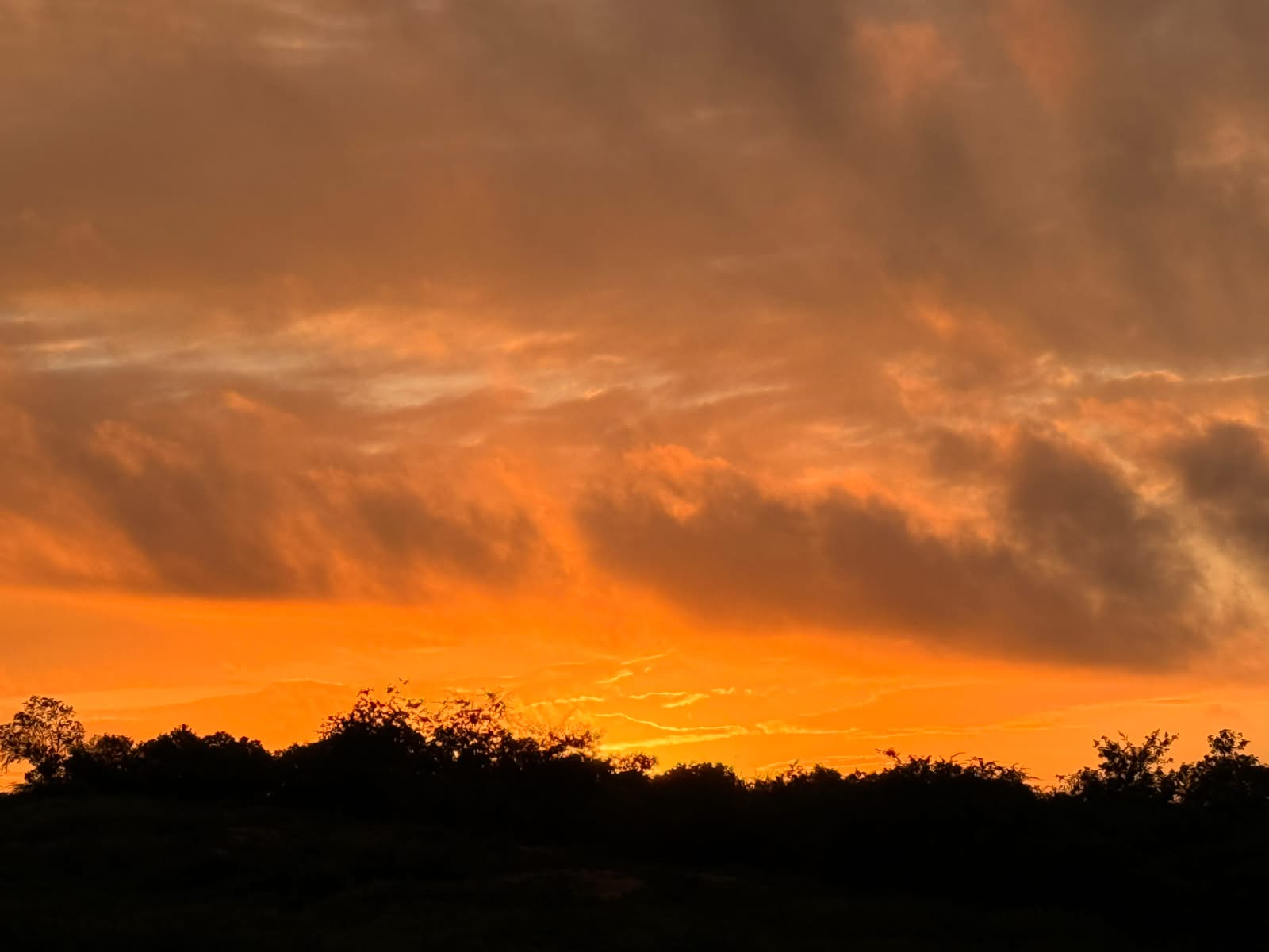 Sol predomina no Ceará até quinta (21), mas Funceme prevê chuvas isoladas em algumas regiões