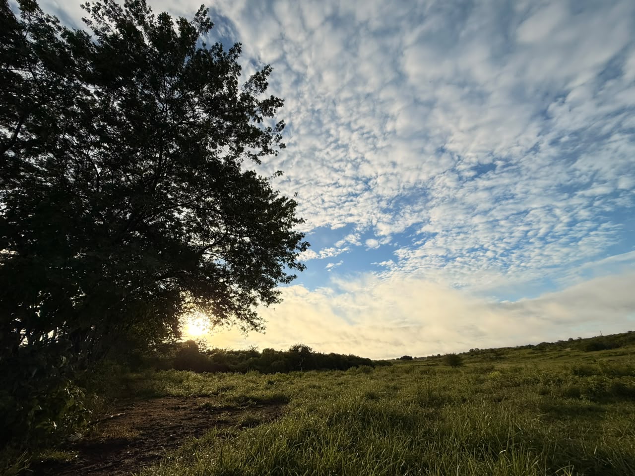 Ceará terá dias de calor e predomínio de sol no início da semana, aponta Funceme