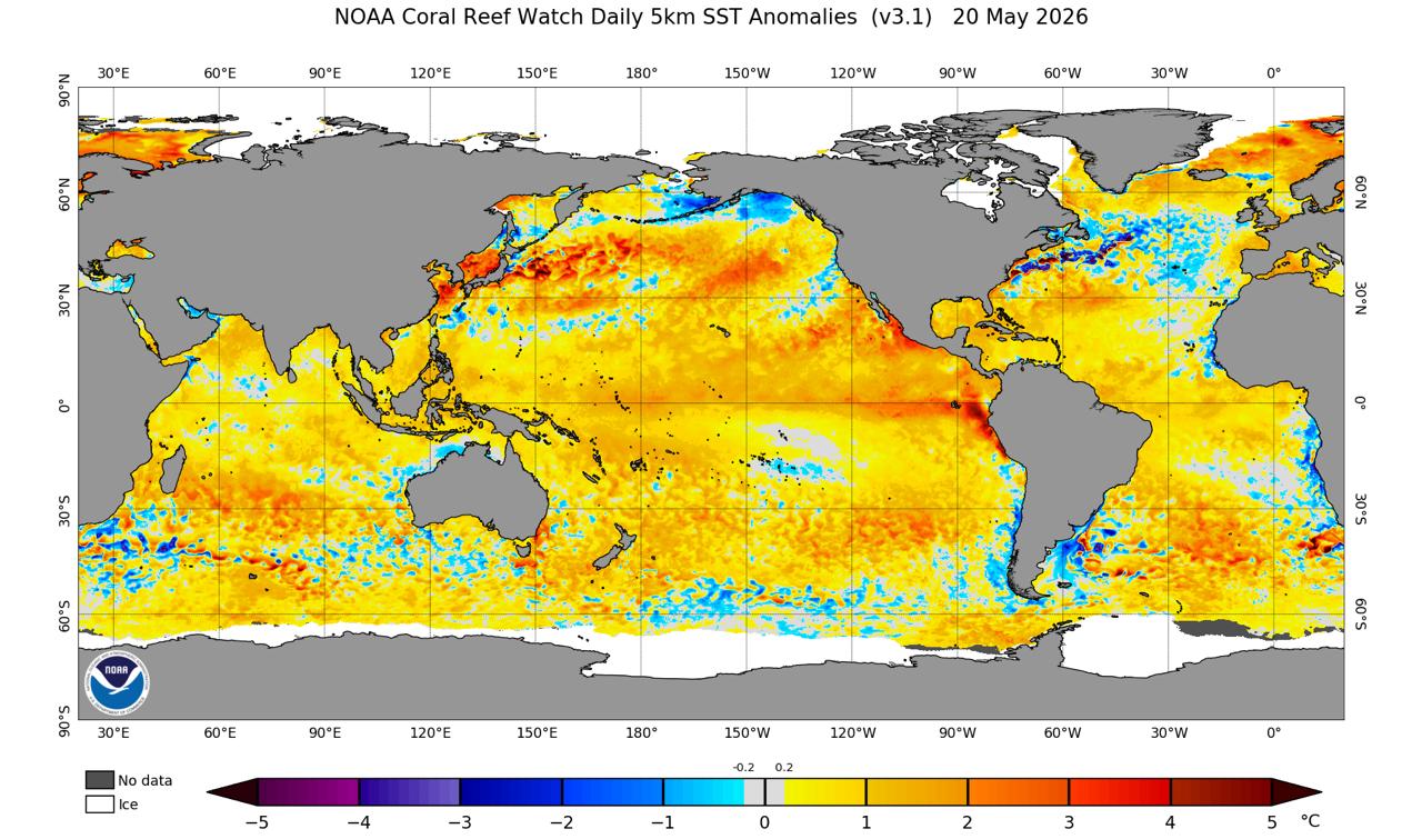 El Niño forte: o que a ciência indica e quais os possíveis impactos para o Ceará