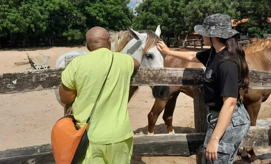 Passeios Terapêuticos: projeto promove socialização de pacientes por meio de visitas externas