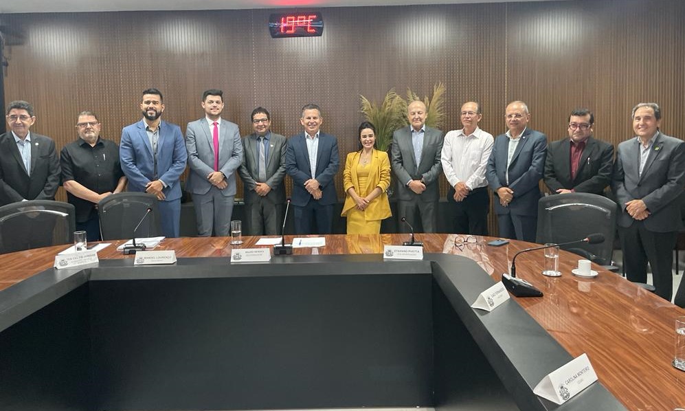 Simplificação e segurança de dados são discutidos em reunião do comitê gestor do convênio Redesim Conectada