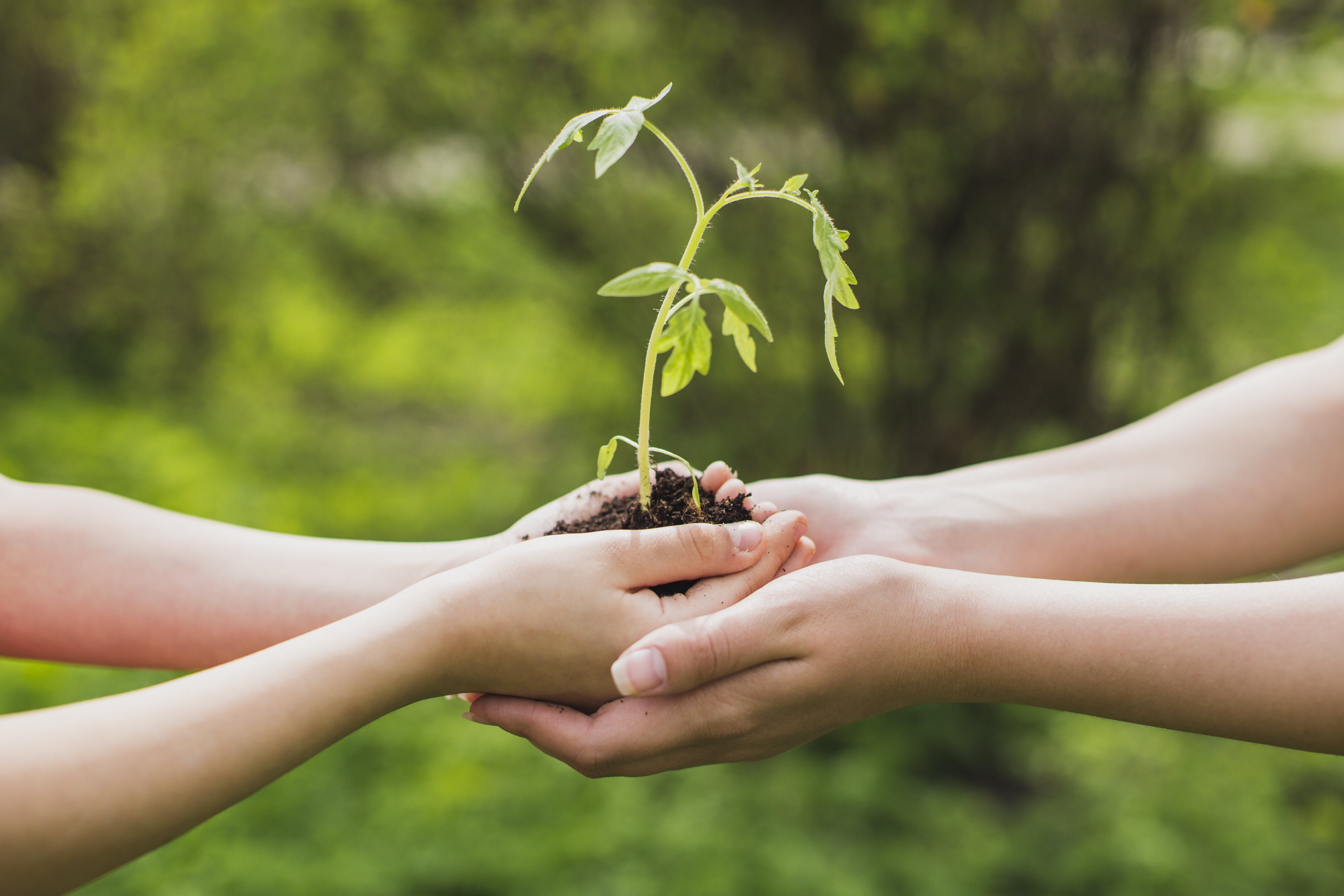 Semana do Meio Ambiente tem programação especial no Nutec