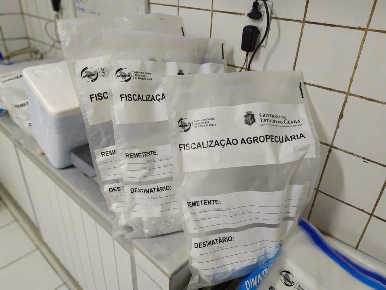 Contaminação por óleo:  Nutec realiza análises de pescados comercializados no Ceará