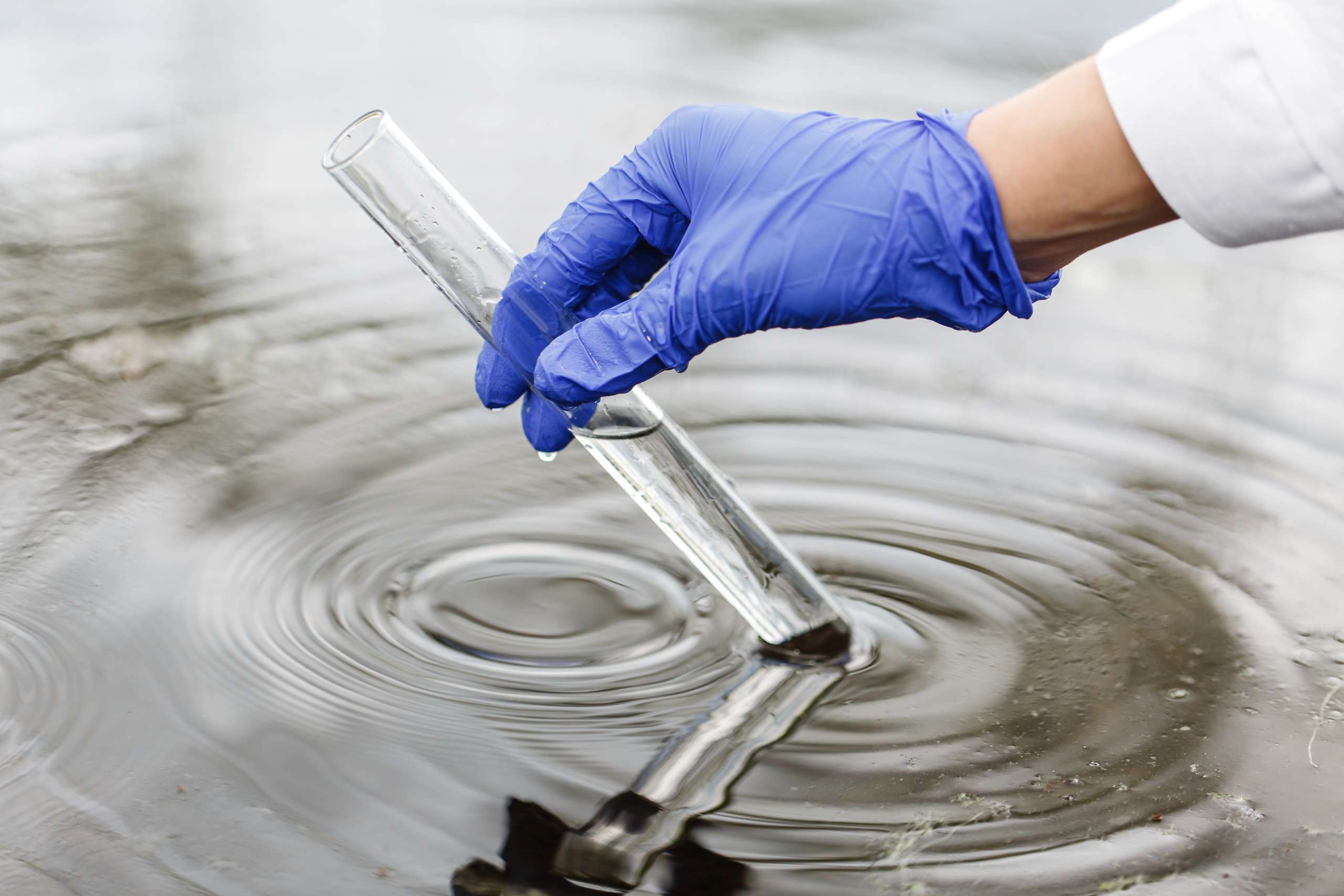 Coordenador do Nutec publica artigo na Environmental Science and Pollution Research