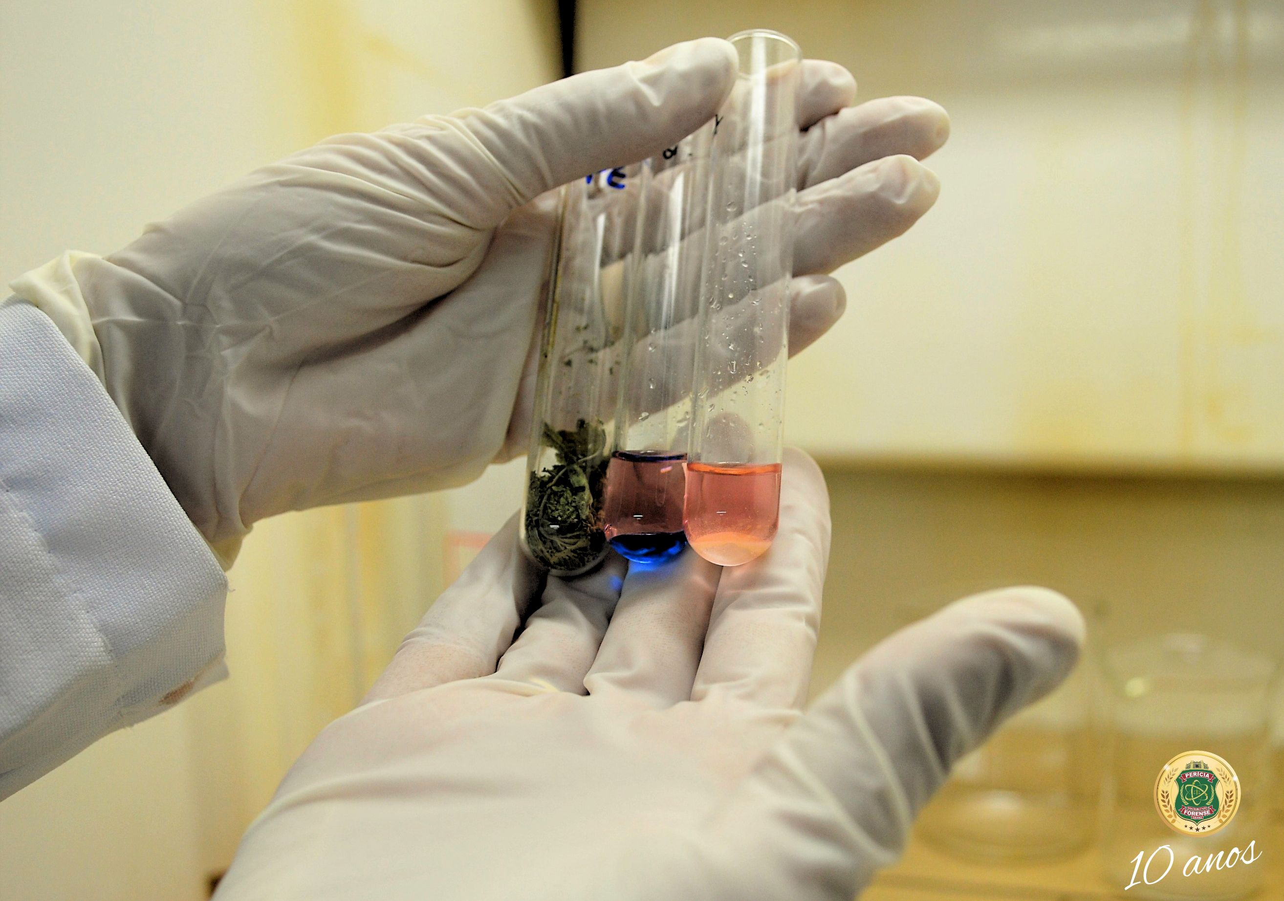 Toxicologia realiza perícia em amostrasde drogas e detecta substâncias sintéticas ilícitas