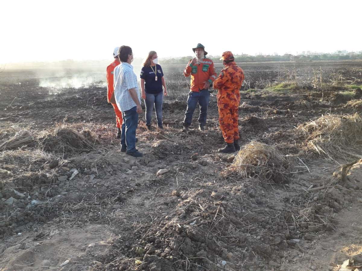 Laudo indica que a causa do incêndio no Cocó se deu por ação humana involuntária