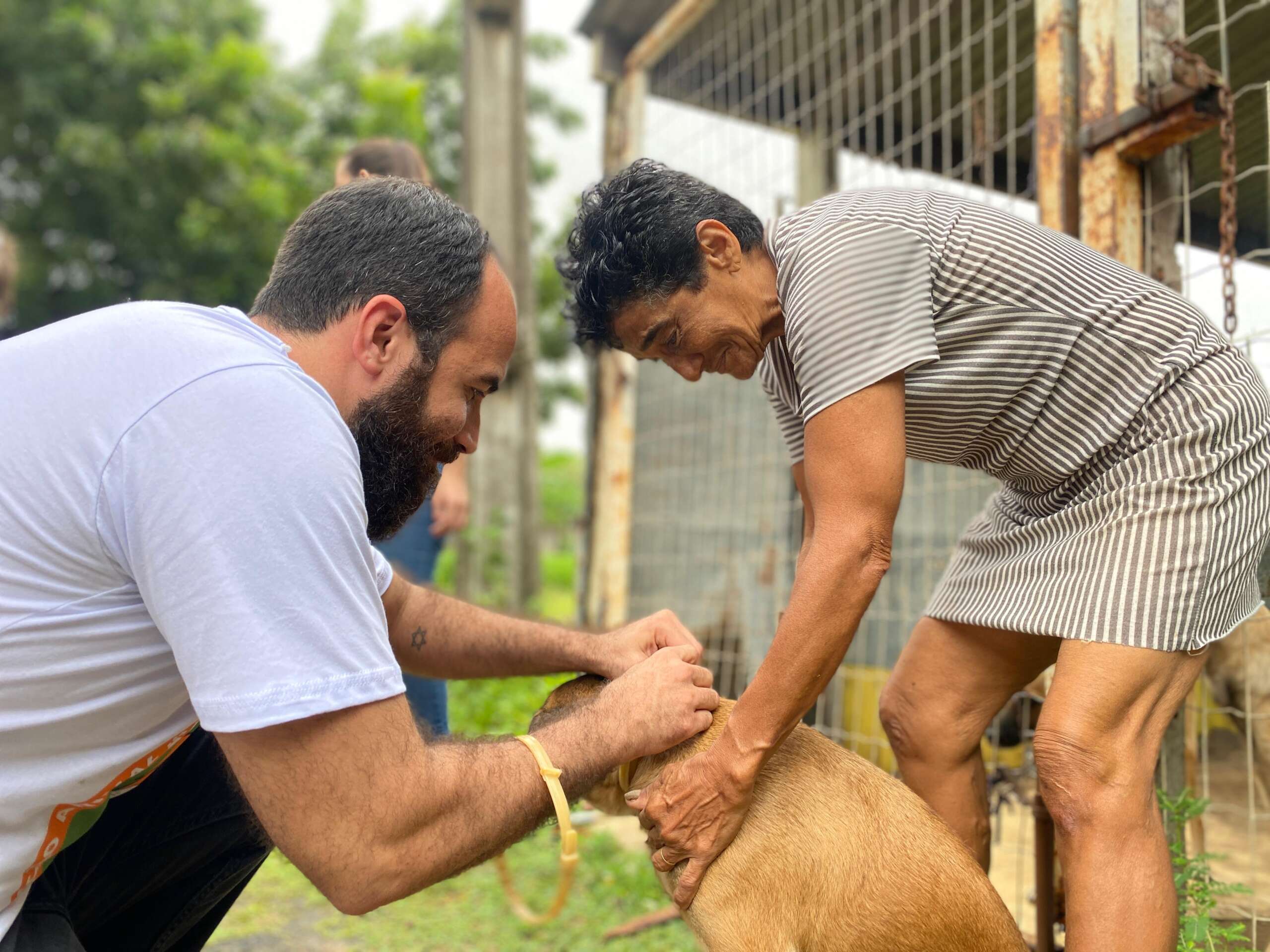 Secretaria da Proteção Animal do Ceará distribui coleiras antiparasitárias em animais em situação de abandono na UFC