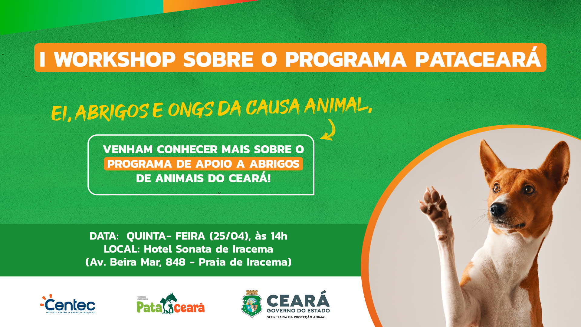 Secretaria da Proteção Animal do Ceará promove I Workshop sobre o PataCeará