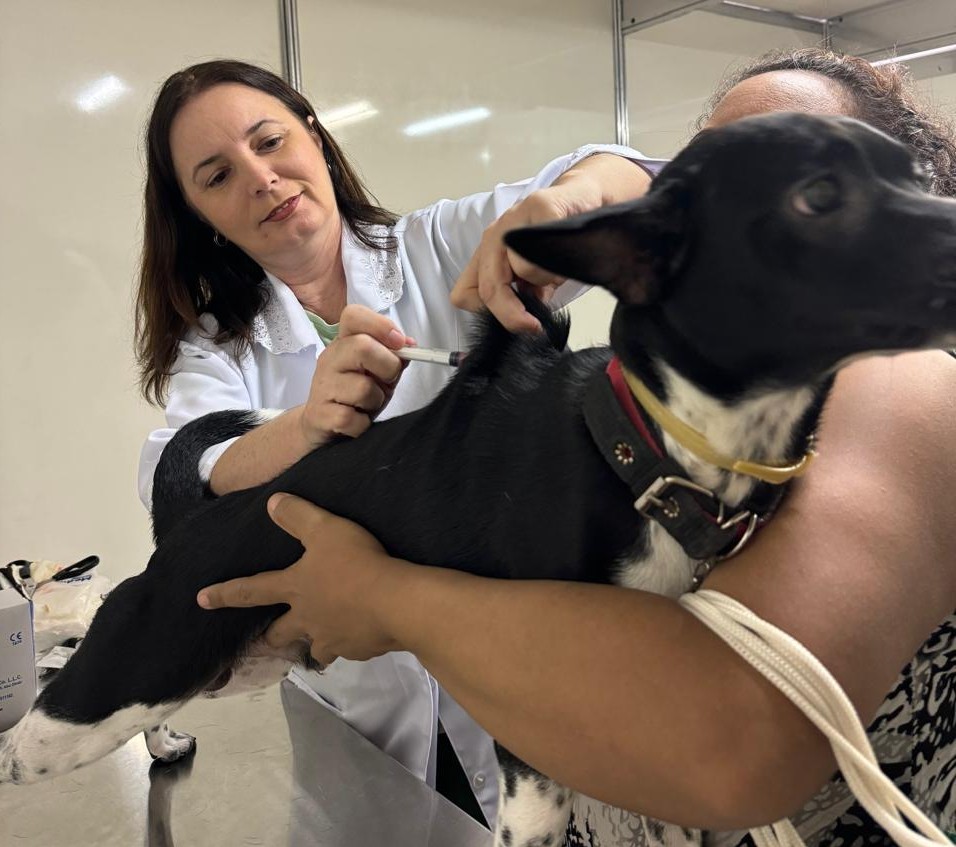 Pet Ceará Móvel passa a ofertar vacinação antirrábica gratuita