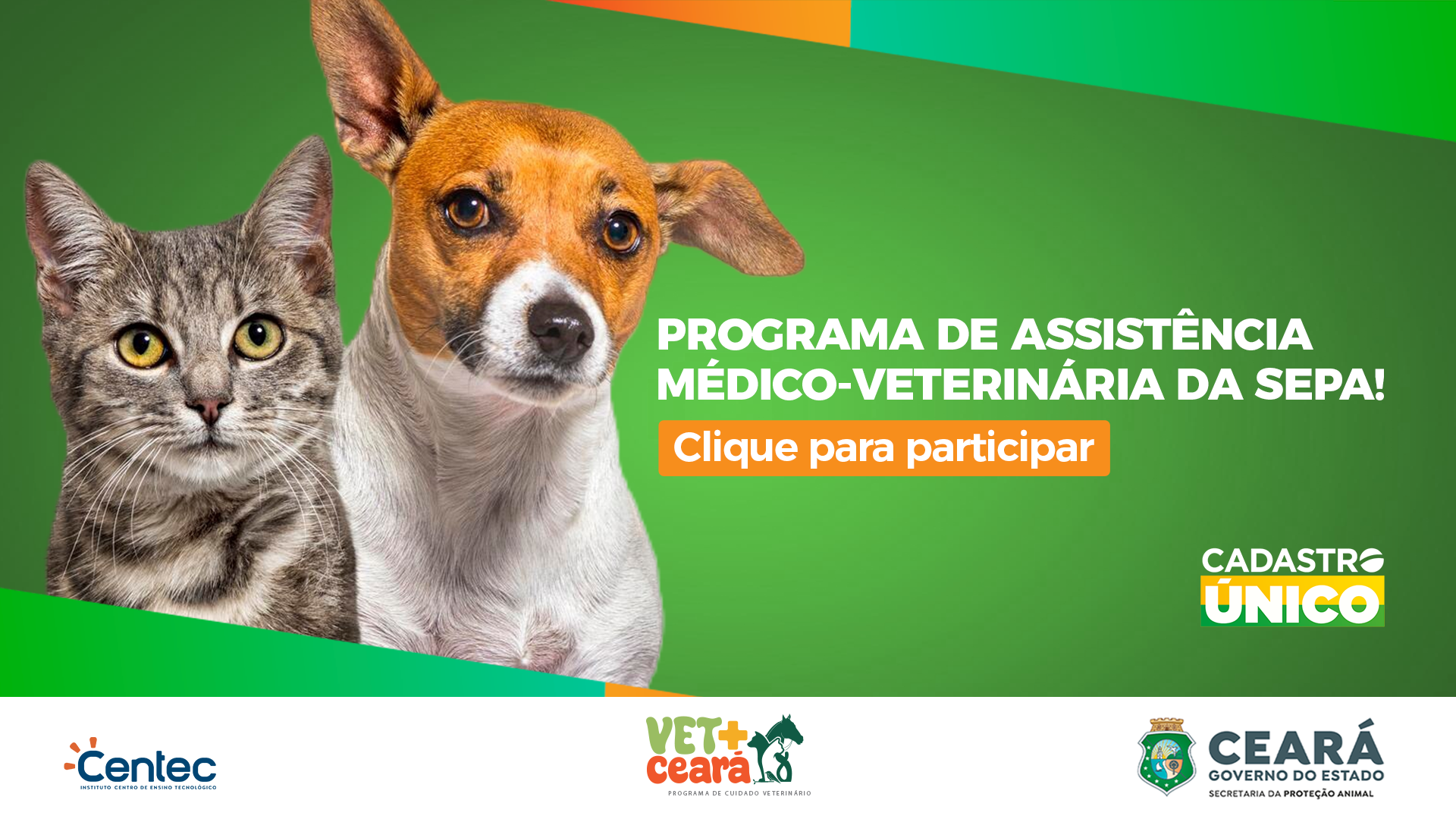Elmano anuncia data de início dos atendimentos gratuitos do Programa Vet+Ceará