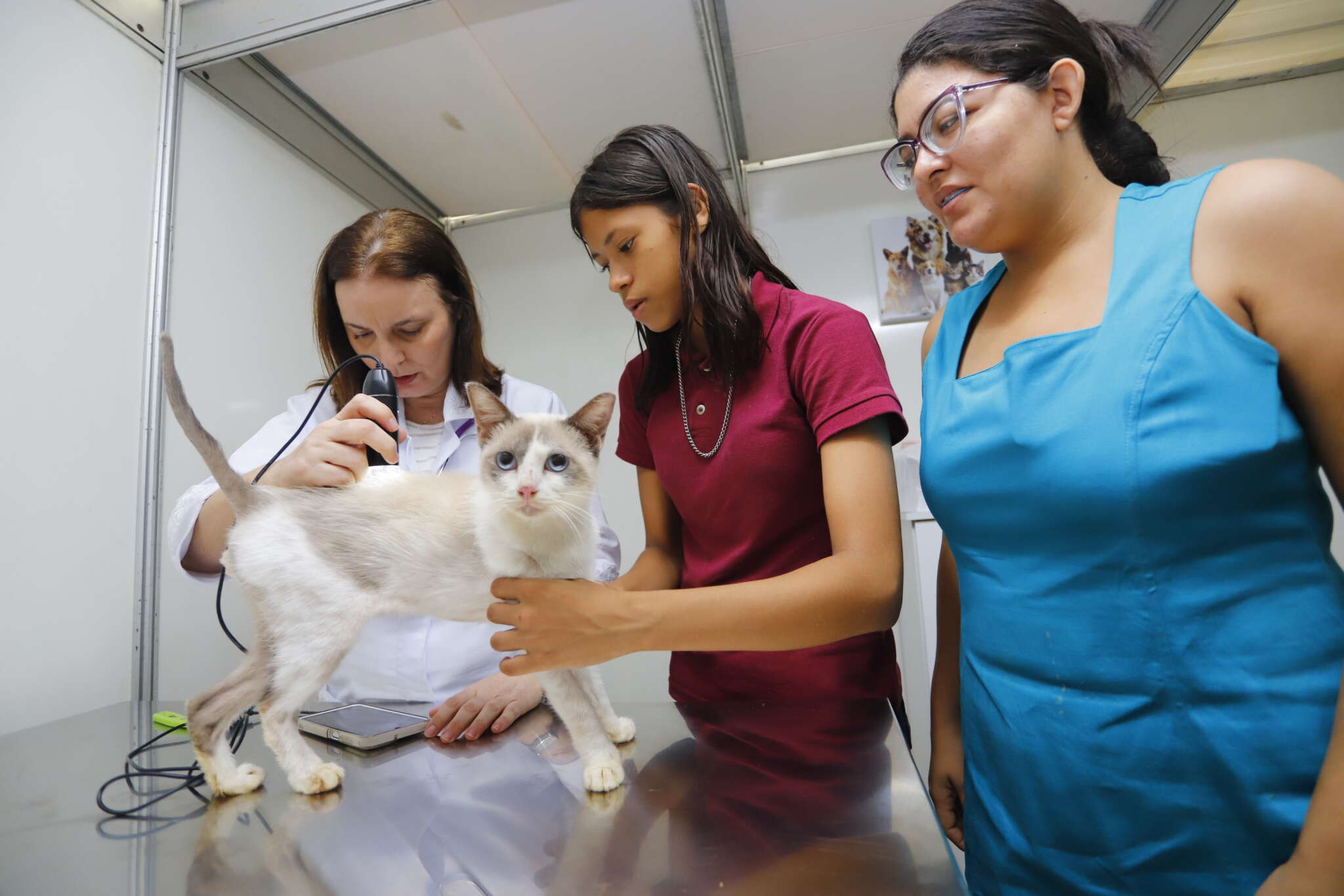 Pet Ceará Móvel chega ao Eusébio nesta segunda-feira (3)