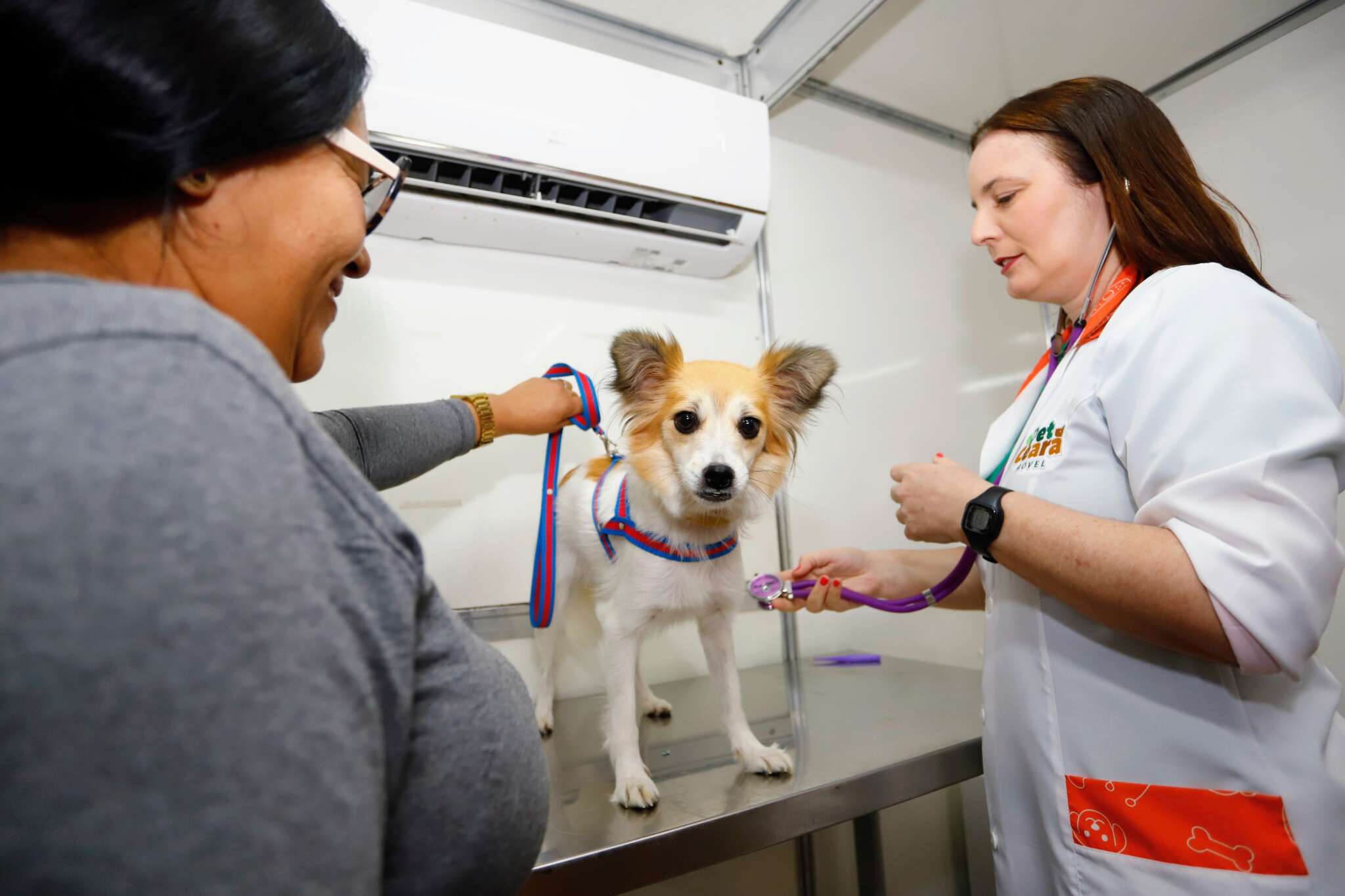Pet Ceará Móvel chega a Maracanaú nesta segunda-feira (17)
