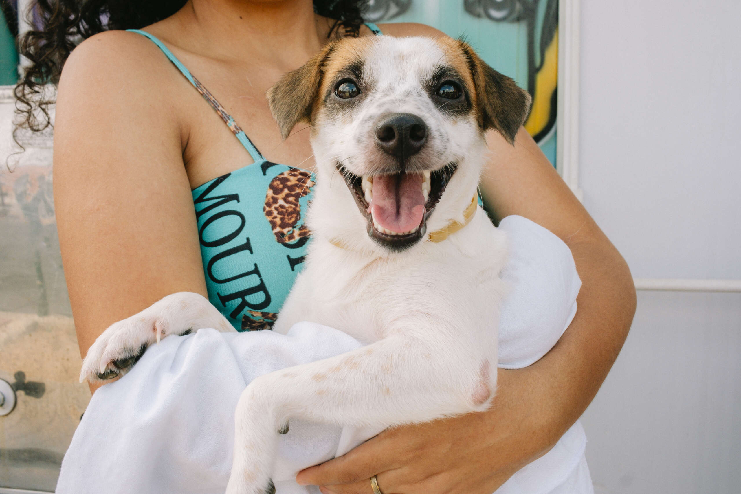 Giro Pet Ceará estaciona em Pentecoste e promove atendimentos veterinários na região
