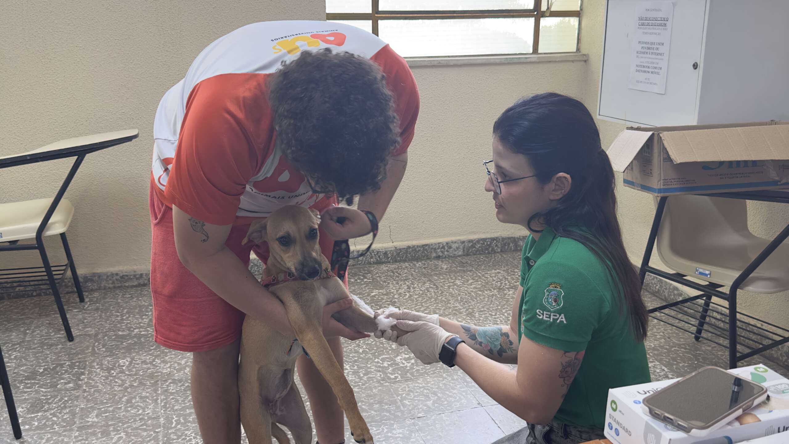 Sepa realiza castração de animais em situação de abandono nos campi da UFC