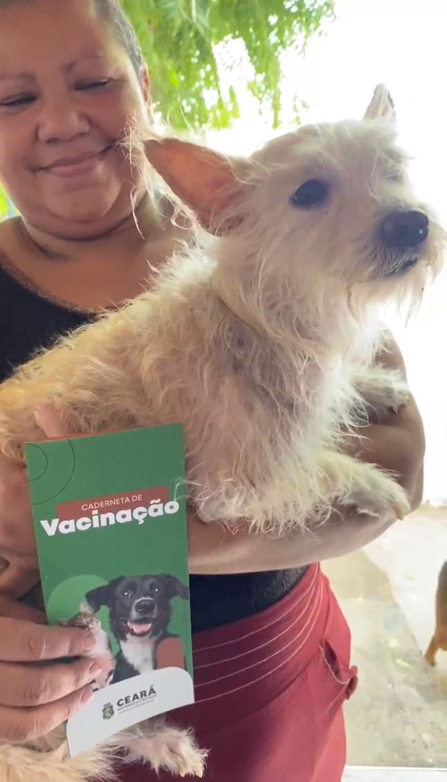 Giro Pet Ceará leva vacinas e coleiras antiparasitárias para animais de Tamboril e Catunda
