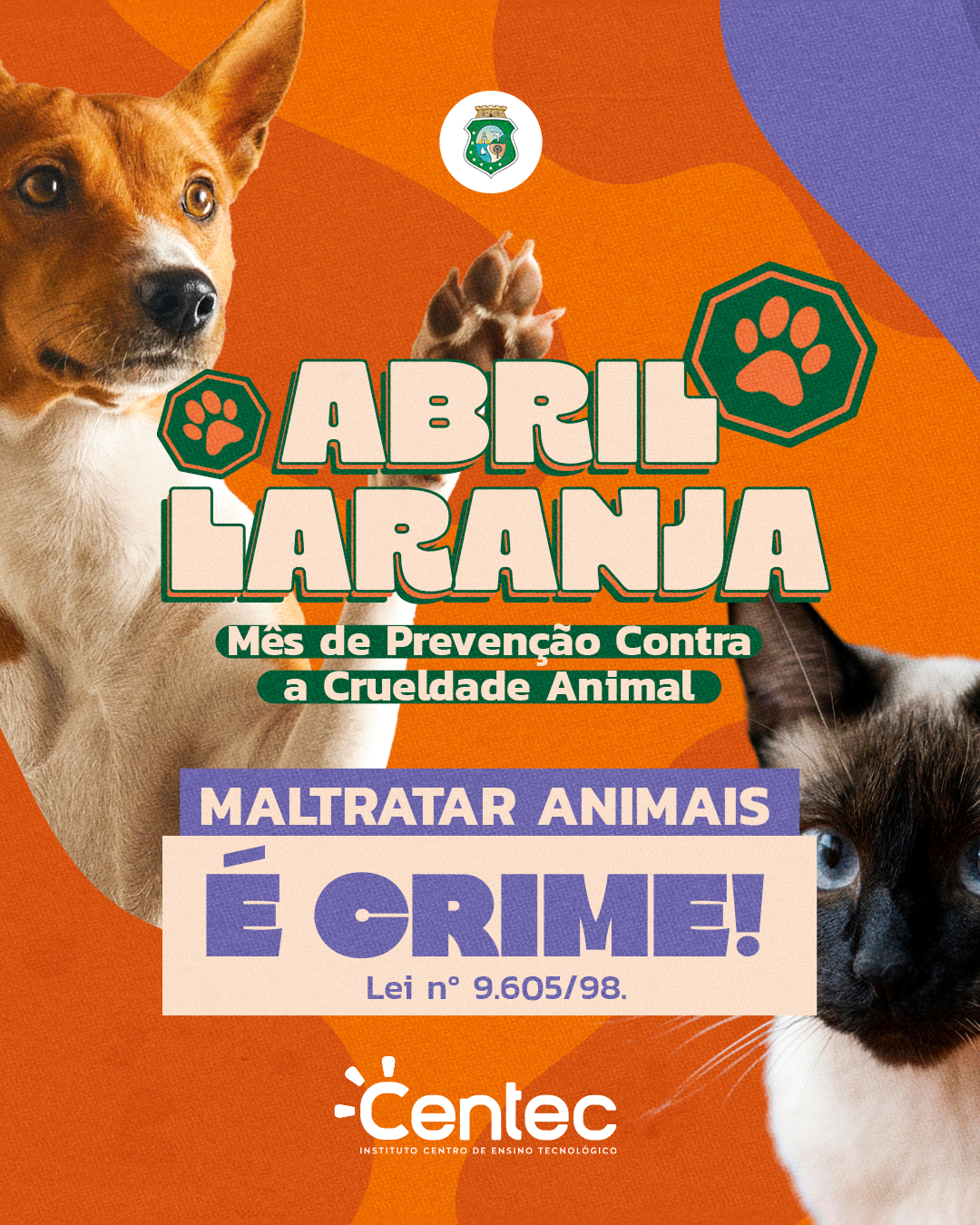 Secretaria da Proteção Animal lança campanha Abril Laranja, em alusão ao mês de prevenção contra a crueldade animal