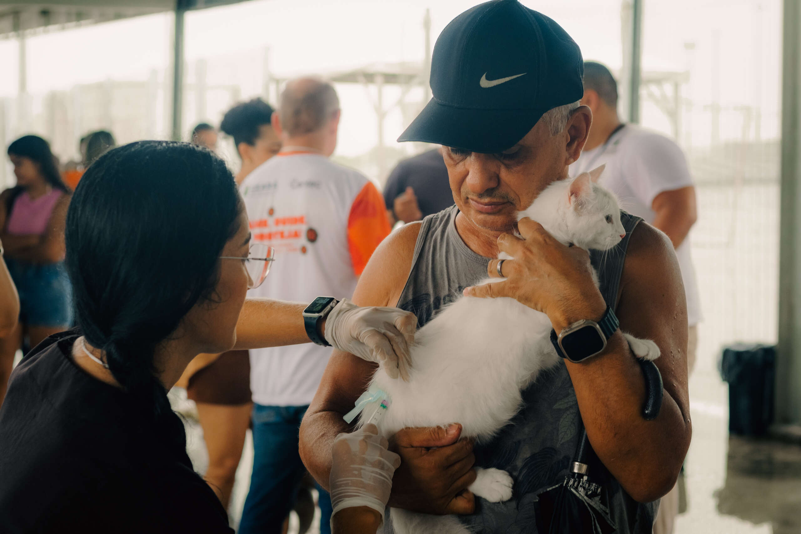 Giro Pet Ceará leva serviços gratuitos a quatro cidades nesta semana