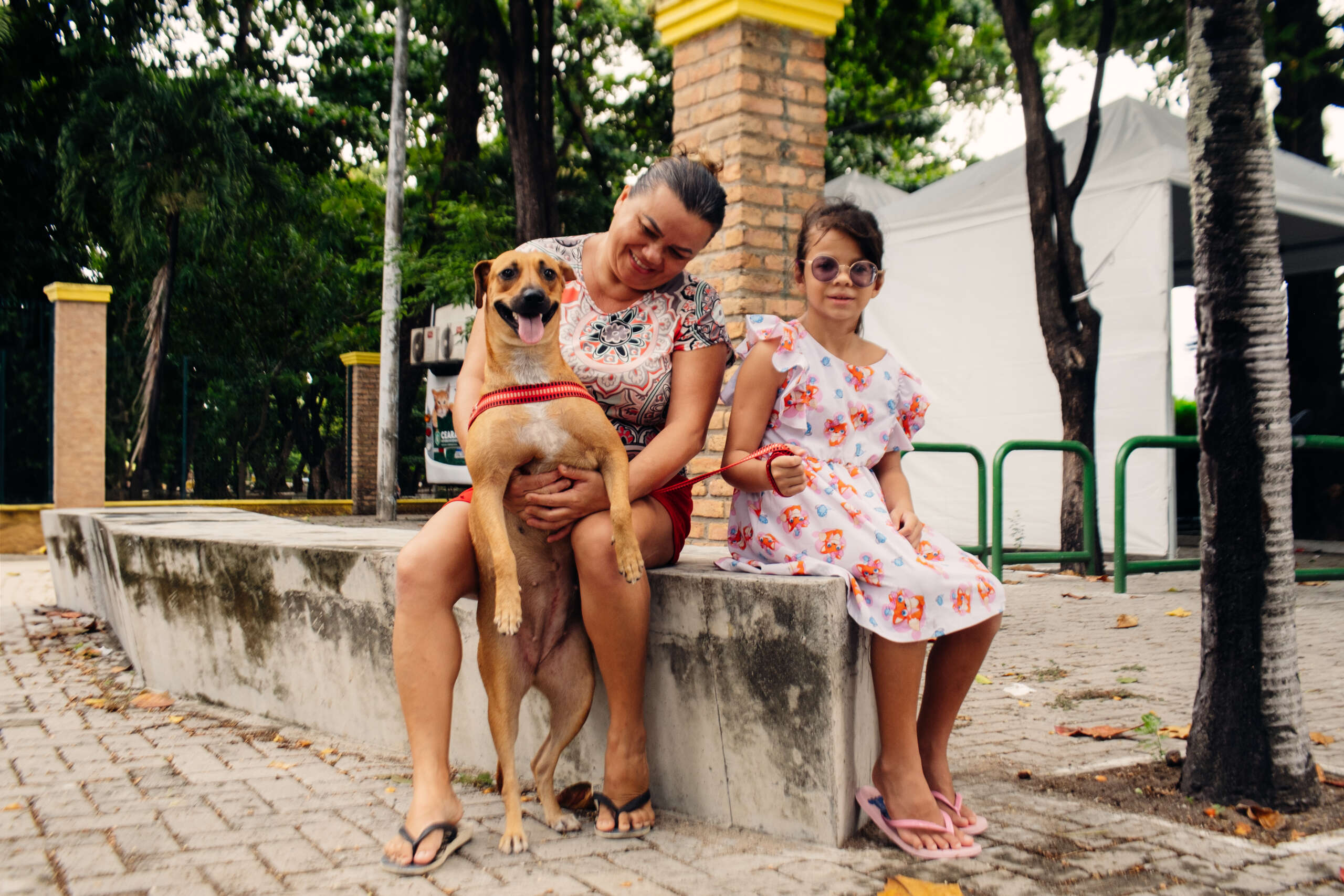 Pet Ceará Móvel chega a Tauá com castração gratuita; agendamento já disponível
