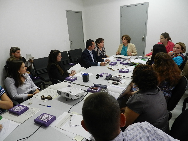 Secretaria Nacional de Políticas para as Mulheres promove reunião com órgãos estaduais