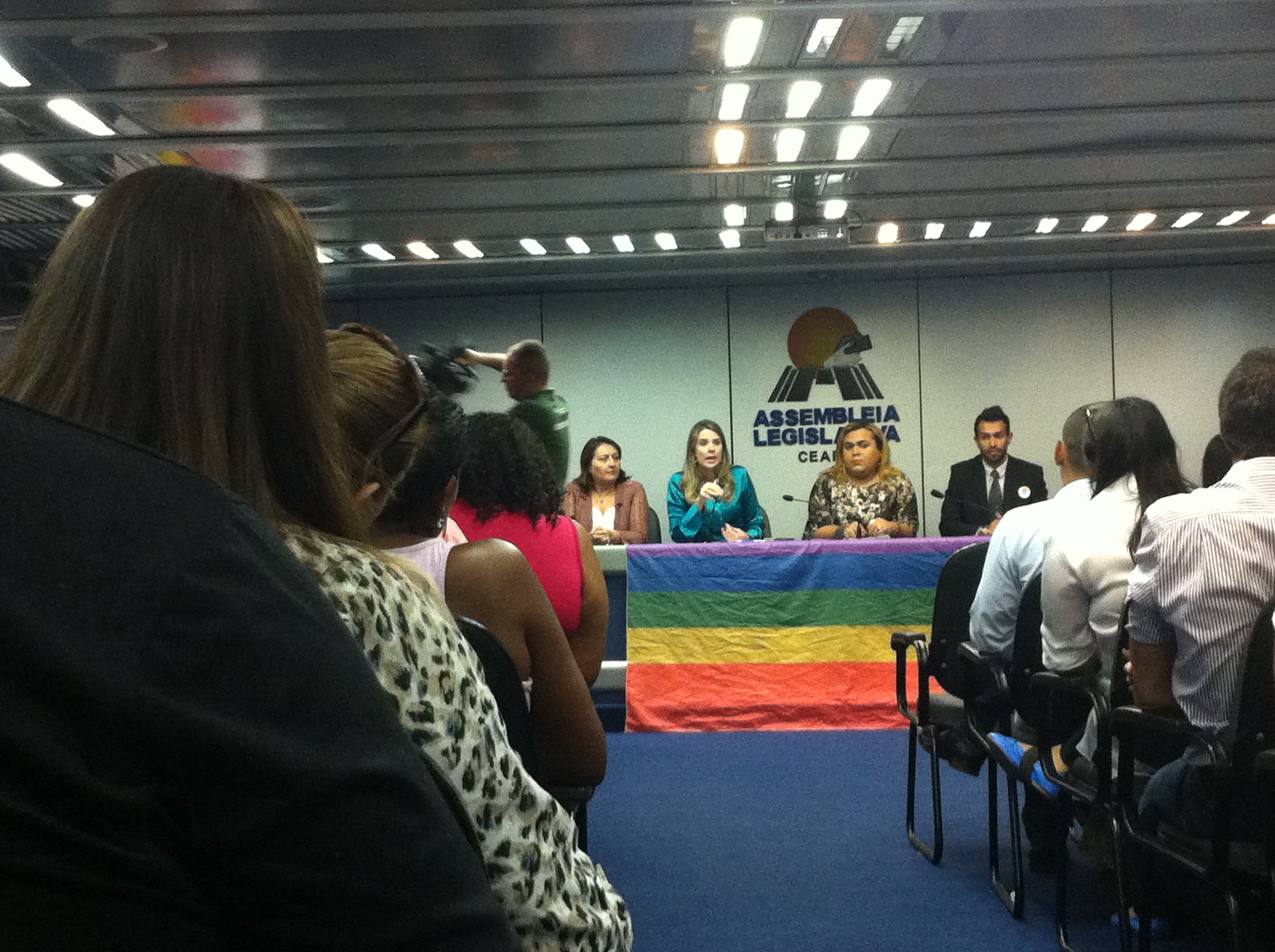 Secretária Mariana Lobo participa de seminário sobre criminalização da homofobia
