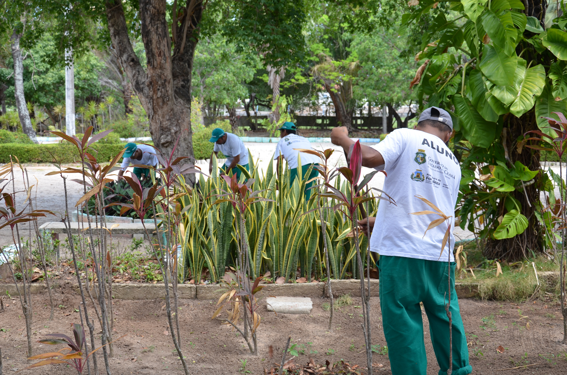 Projeto Plantando o Amanhã certifica 20 egressos em curso de jardinagem