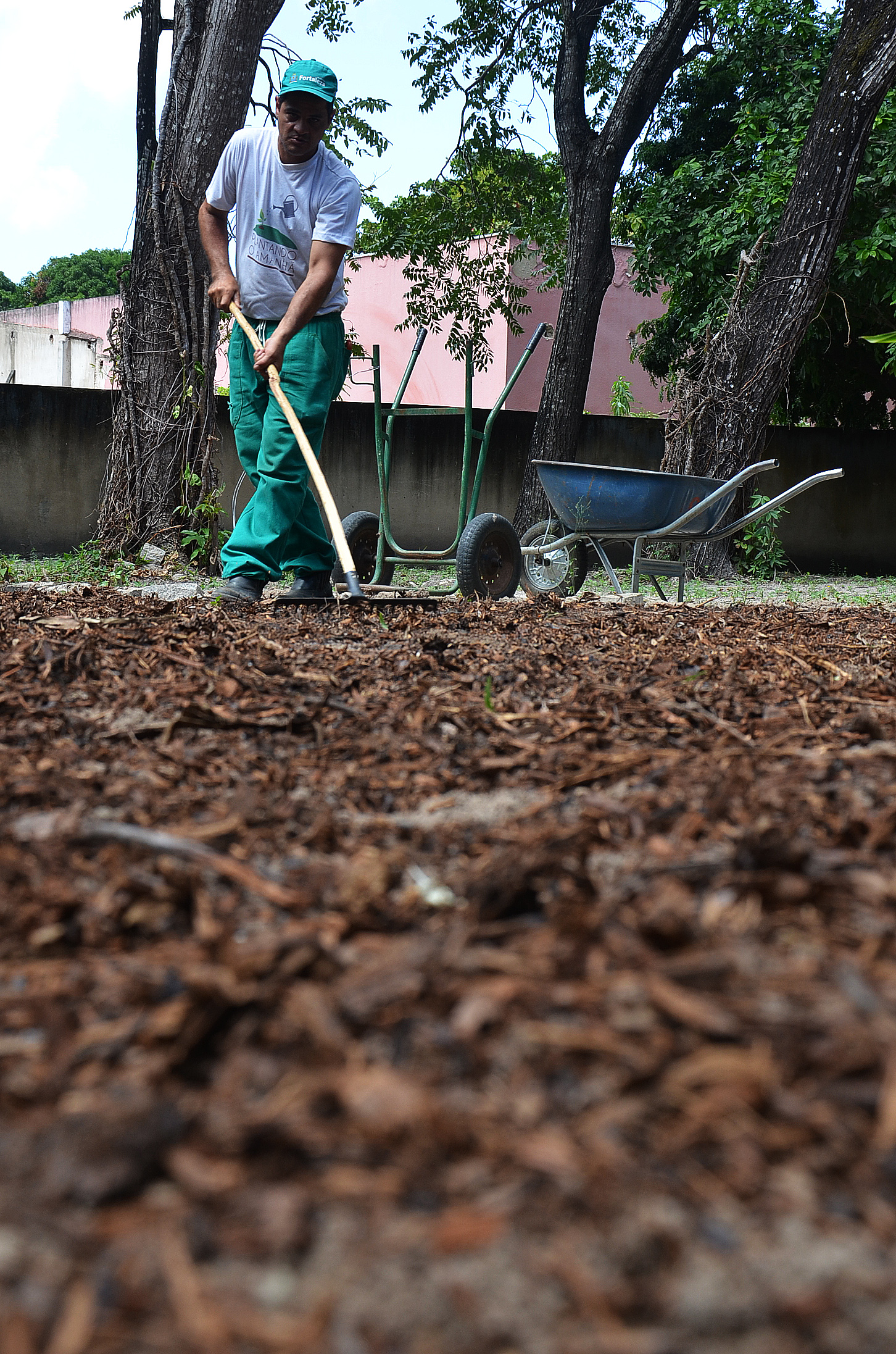 Projeto Plantando o Amanhã capacita egressos em jardinagem