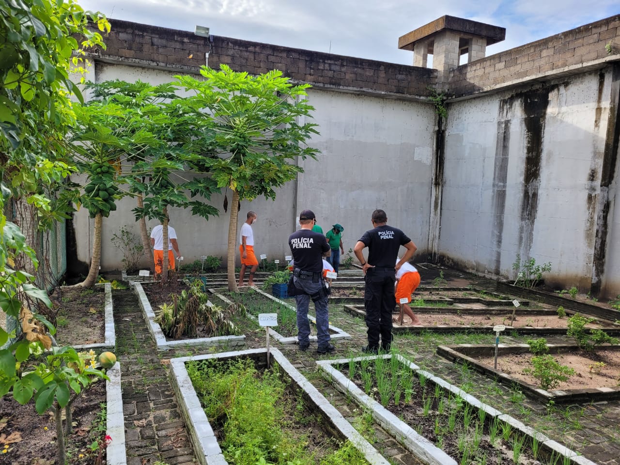 SAP e SEMA oferecem curso de técnicas de jardinagem para internos da Penitenciária da Pacatuba