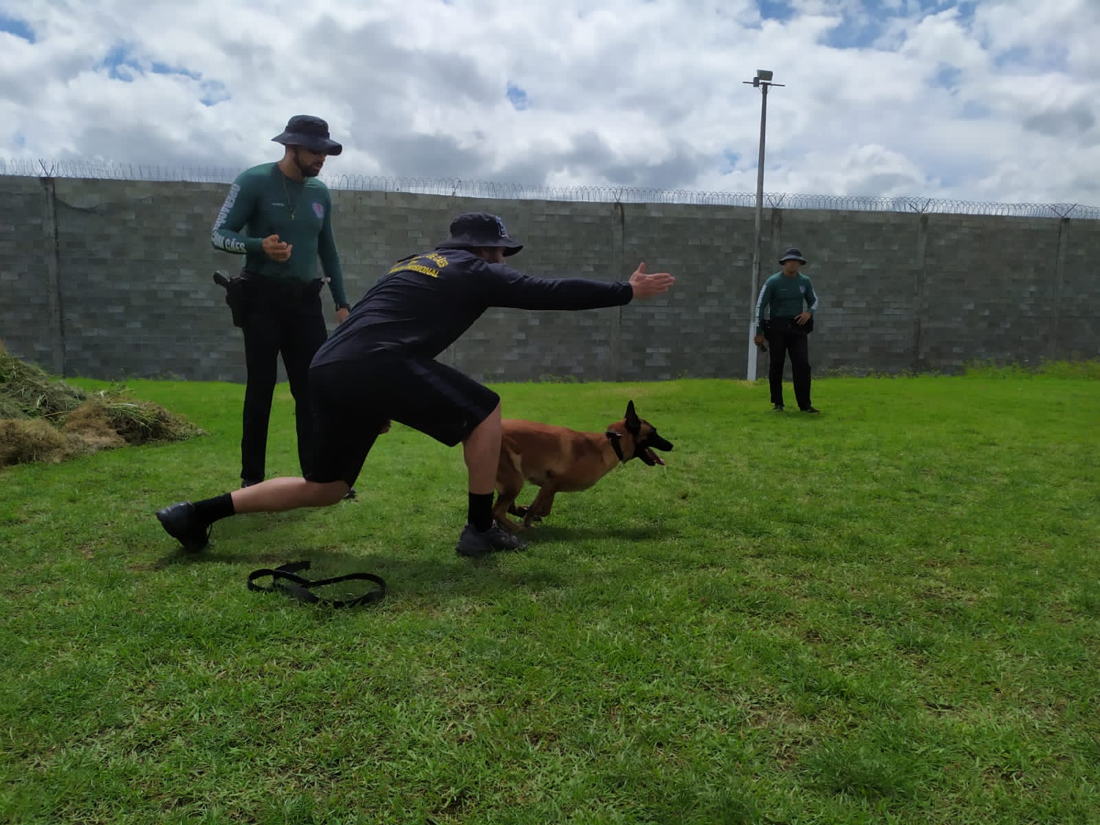 SAP abre pré-inscrição para I Curso de Operações com Cães em Ambiente Prisional