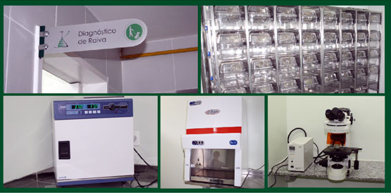 Raiva: Sesa inaugura laboratório de diagnóstico e promove vacinação