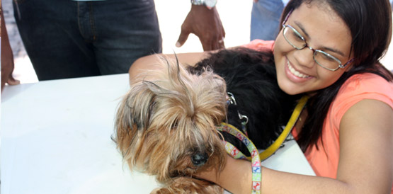 Sábado, 2, é dia de vacinar cães e gatos e proteger à saúde deles e dos humanos