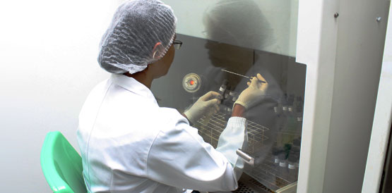 8.787 exames de DNA feitos pelo Lacen para comprovar paternidade