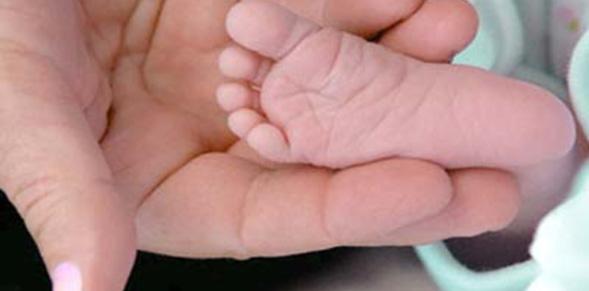 1850 testes do pezinho já realizados no Hospital César Cals este ano