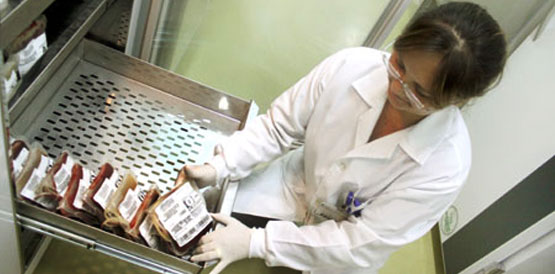 Para garantir abastecimento, Hemoce precisa aumentar doações de sangue