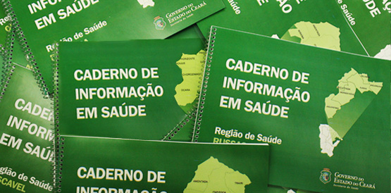 Sesa apresenta indicadores de saúde dos 184 municípios a novos secretários