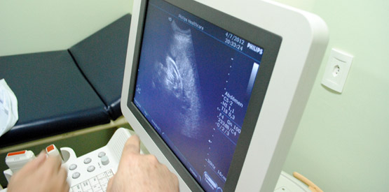 Residência treina uso de ultrassom em emergência hospitalar