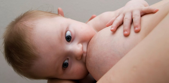 Fórum discute segurança alimentar no uso do leite humano