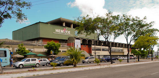 Hemoce fará coleta aos domingos para reforçar estoque